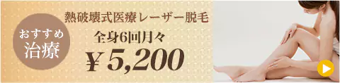 熱破壊式医療レーザー全身脱毛